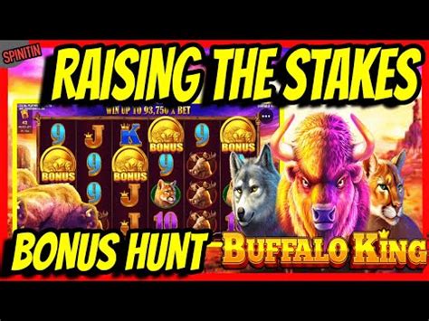 about slots bonus hunt